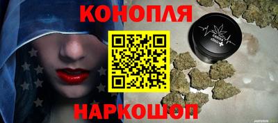 прущие крисы Гай