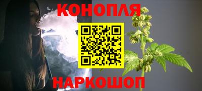 прущие крисы Гай