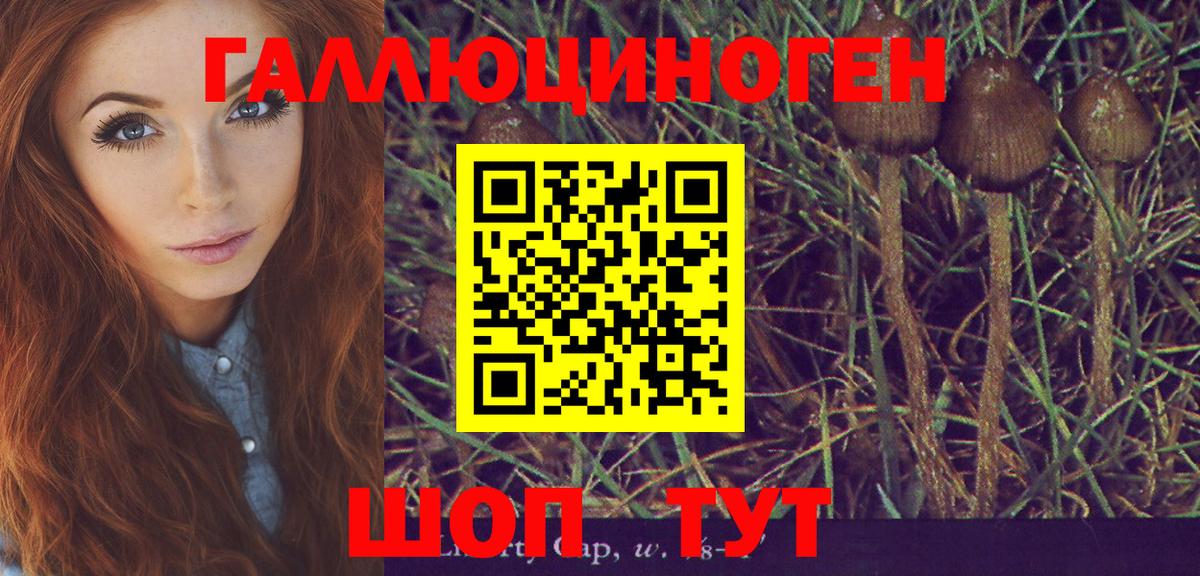 Вологда  Галлюциногенные грибы мухоморы  Вход с VPN 